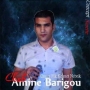 Amine barigou 